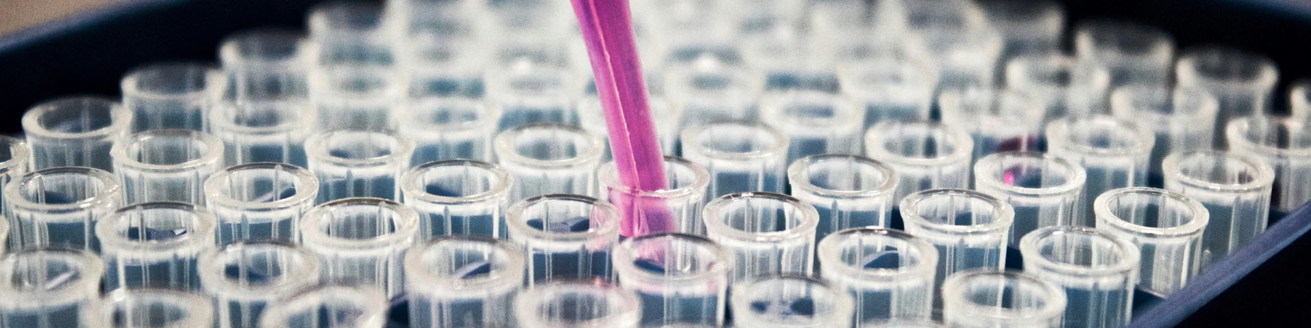 UK Product Guide Hero image 1920 x 480